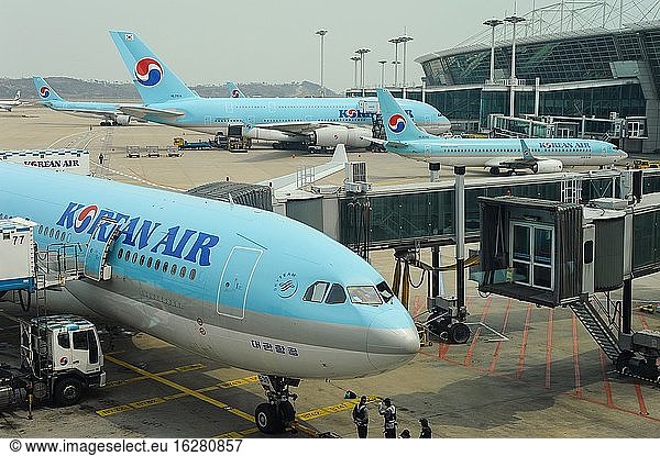 Seoul  Südkorea  Asien - Die Passagierflugzeuge der Korean Air stehen an ihren Gates auf dem Rollfeld des internationalen Flughafens Incheon.