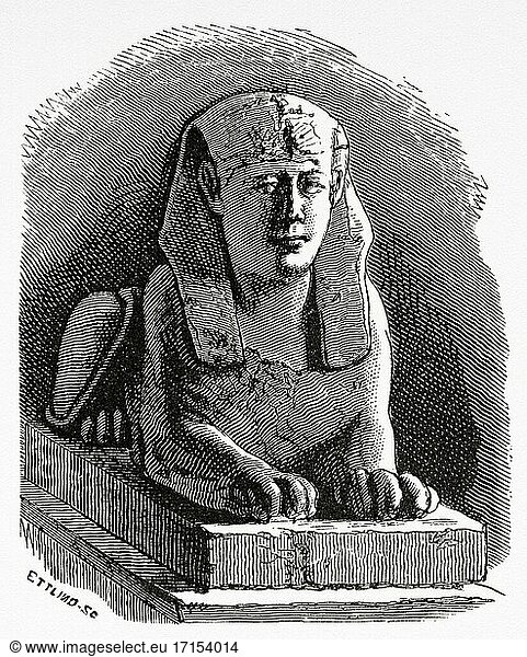 Serapeum Sphinx  Alexandria. Altes Ägypten Geschichte. Alte gestochene Illustration aus dem 19. Jahrhundert aus El Mundo Ilustrado 1879.