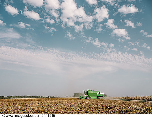 Serbia Vojvodina Combine harvester in soybean field