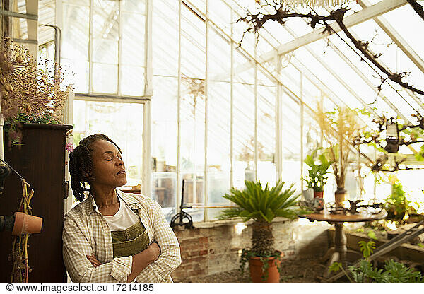 Serene female florist in greenhouse shop
