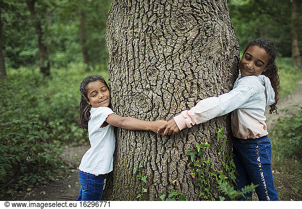 Serene sisters hugging tree trunk in woods