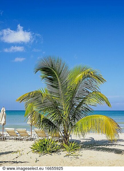 Seven Mile Beach  Long Bay  Negril  Westmoreland Parish  Jamaika.