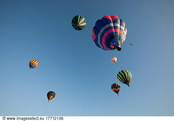 Several hot air balloons from the Prosser Balloon Rally take flight in a blue sky.; Prosser  Washington