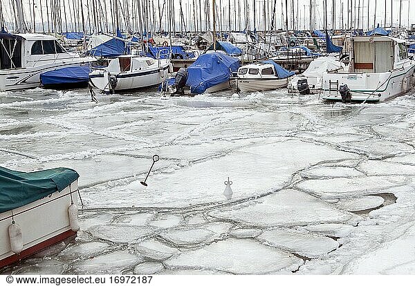 Severe winter  frozen boats trapped in ice  Versoix  canton of Geneva  Lake Geneva region  Lake Geneva shore  Switzerland.
