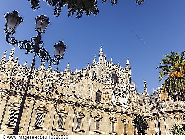 Sevilla  Provinz Sevilla  Andalusien  Südspanien. Die Kathedrale  eine der größten der Welt  wurde an der Stelle der maurischen Moschee errichtet und Anfang des 16. Jahrhunderts fertiggestellt.
