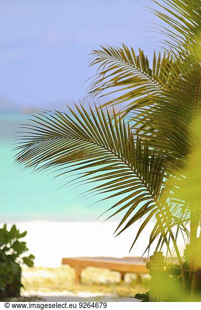 Seychellen  Anse Volbert  Sonnenliege am Strand  Insel Praslin