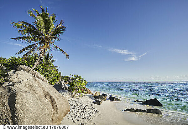 Seychelles  La Digue  Tropical beach in summer