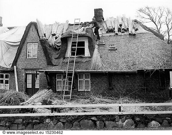 SG hist.  Architektur  Bauarbeiten  Hausbau  decken eines Dach mit Reet  Dachdecker bei der Arbeit  Keitum  Insel Sylt  1960er Jahre