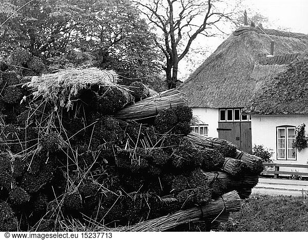 SG hist.  Architektur  Bauarbeiten  Hausbau  decken eines Dach mit Reet  gestapelte ReetbÃ¼ndel  Keitum  Insel Sylt  1960er Jahre
