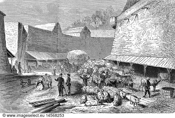 SG hist Ereignisse Deutsch-Französischer Krieg 1870 - 1871 Versorgung lebender Proviant in einer deut. Festung am Rhein Xylografie nach Skizze von Otto Günther 1870