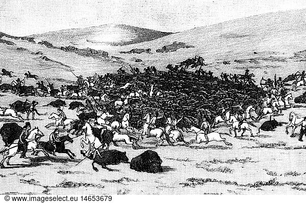 SG hist.  Jagd  BÃ¼ffel  Bisonjagd in Nordamerika  Treibjagd durch Indianer in der PrÃ¤rie  Xylografie  um 1890