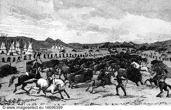 SG hist.  Jagd  BÃ¼ffel  Bisonjagd in Nordamerika  Treibjagd durch Indianer in der PrÃ¤rie  Xylografie  um 1890