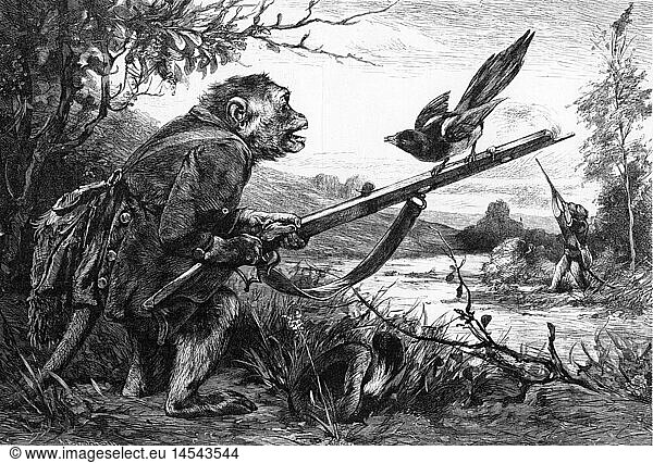 SG hist.  Jagd  Satire  Affen als JÃ¤ger  'Irren ist menschlich'  Xylografie aus der Serie 'Verkehrte Welt' von Paul Meyerheim  1889