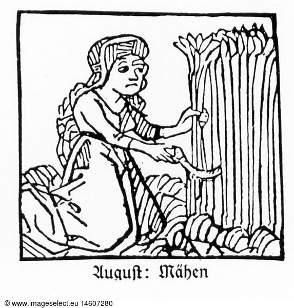 SG hist.  Jahreszeiten  'August'  BÃ¤uerin beim Getreideernte  Holzschnitt  Druck: Johann BÃ¤mler  Augsburg  um 1483