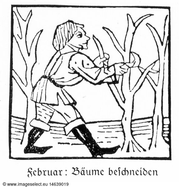 SG hist.  Jahreszeiten  'Februar'  Mann beschneidet Baum  Holzschnitt  Druck: Johann BÃ¤mler  Augsburg  um 1483