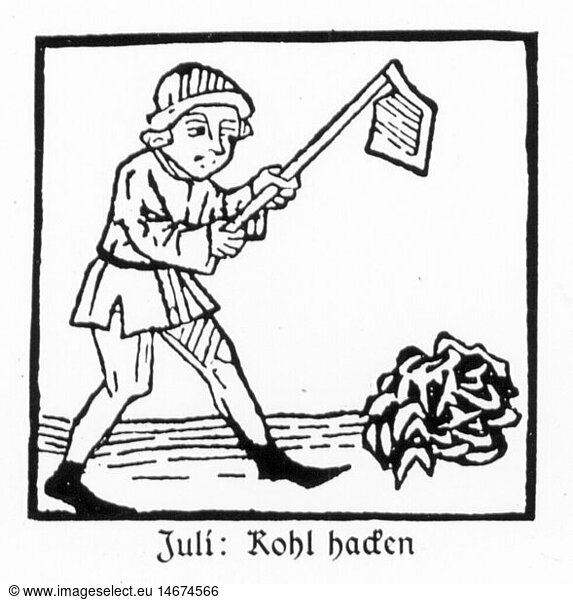 SG hist.  Jahreszeiten  'Juli'  Bauer beim Kohl hacken  Holzschnitt  Druck: Johann BÃ¤mler  Augsburg  um 1483