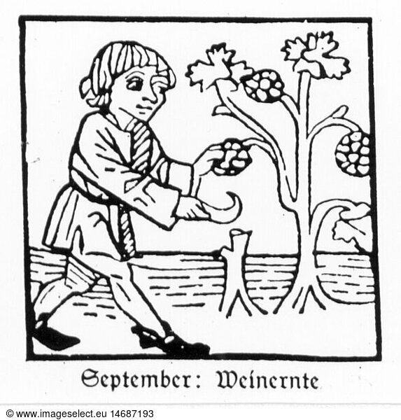 SG hist.  Jahreszeiten  'September'  Winzer bei der Weinlese  Holzschnitt  Druck: Johann BÃ¤mler  Augsburg  um 1483
