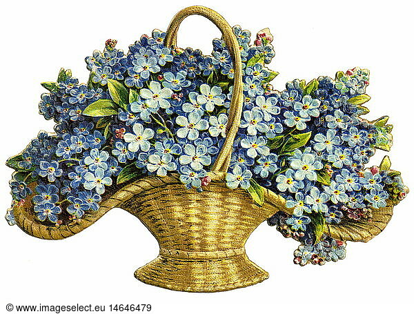 SG hist.  Kitsch  Blumenkorb mit VergiÃŸmeinnicht  Deutschland  um 1890