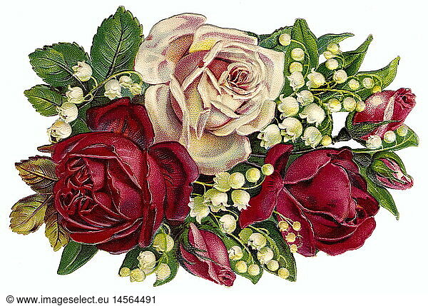 SG hist.  Kitsch / Karten / Souvenir  Blumengesteck mit Rosen  Deutschland  1920er Jahre