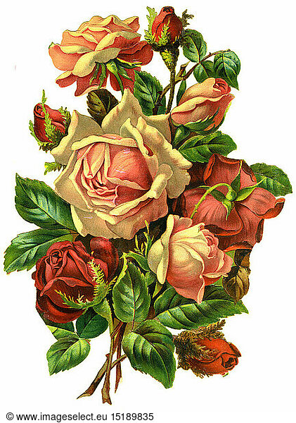 SG hist.  Kitsch  Strauss roter Rosen  Lithografie  Deutschland  um 1890