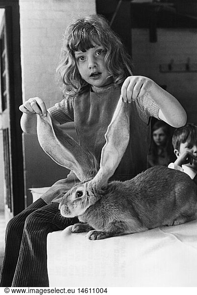 SG hist.  Kuriosa  Kaninchen 'Loppy' mit 61 cm langen Ohren  den lÃ¤ngsten der Welt  Reading  GroÃŸbritannien  Mai 1970