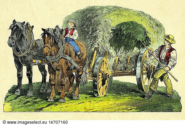 SG hist.  Landwirtschaft  Heuernte  Landarbeiter belÃ¤dt Heuwagen  farbiger Holzstich  Deutschland  um 1865