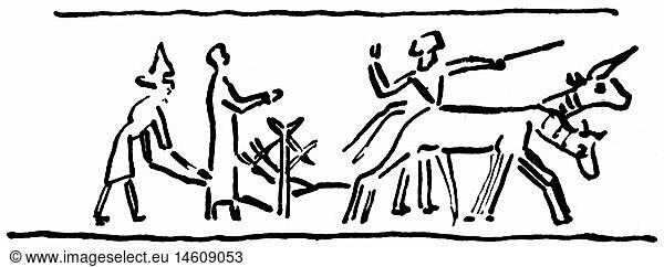 SG hist.  Landwirtschaft  Landarbeit  pflÃ¼gen  Bauern benutzen einen Pflug mit SÃ¤trichter  nach Siegel  Mesopotamien  2. Jahrtausend v.Chr.  Zeichnung  20. Jahrhundert