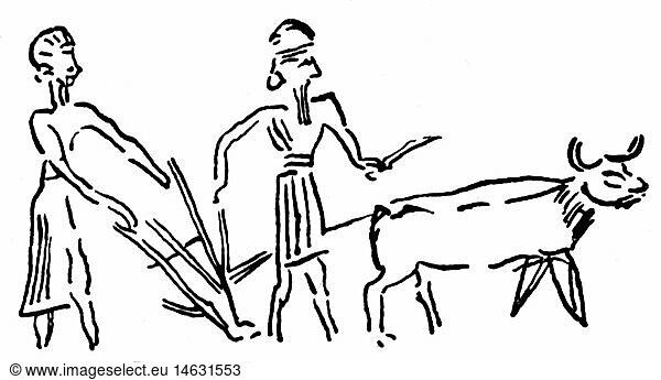 SG hist.  Landwirtschaft  Landarbeit  pflÃ¼gen  Bauern mit Pflug  nach Siegel  Mesopotamien  3. Jahrtausend v.Chr.  Zeichnung  20. Jahrhundert