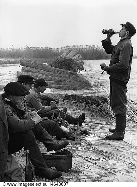 SG hist.  Landwirtschaft  Landarbeit  Schilfschneider bei der Mittagspause  Norddeutschland  1950er Jahre
