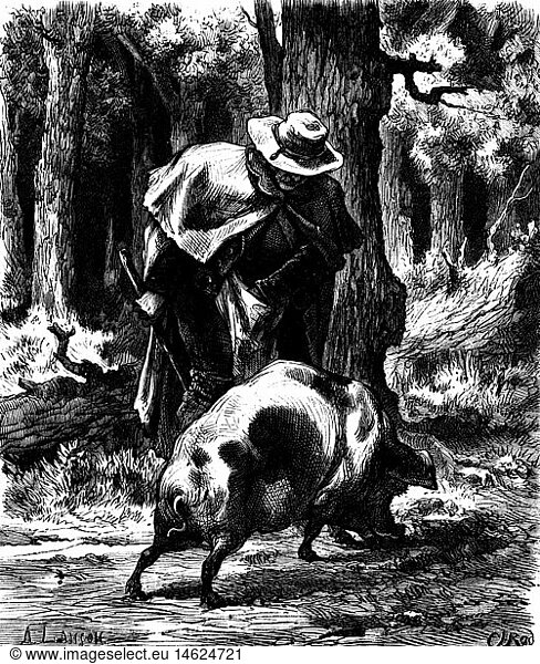 SG hist.  Lebensmittel  TrÃ¼ffel  TrÃ¼ffelsuche mit einem TrÃ¼ffelschwein in SÃ¼dwestfrankreich  Xylographie  1872