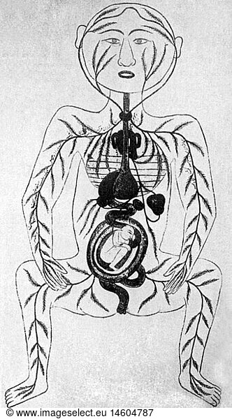 SG hist.  Medizin  Geburt / GynÃ¤kologie  Verlauf der Arterien einer Schwangeren  Zeichnung aus Handschrift  Persien  um 1672