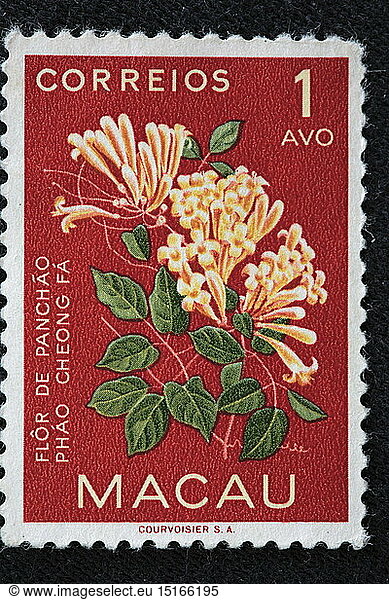 SG. hist.  Post  Briefmarken  Macao  Blumen  Phao Cheong Fa  1 Avo  Correios