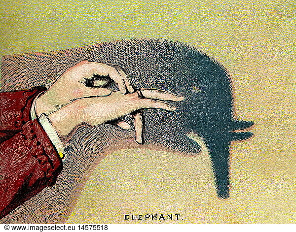 SG hist.  Spiel  Schattenspiel  Schatten an der Wand  Schattenriss Elefant  Deutschland  1889