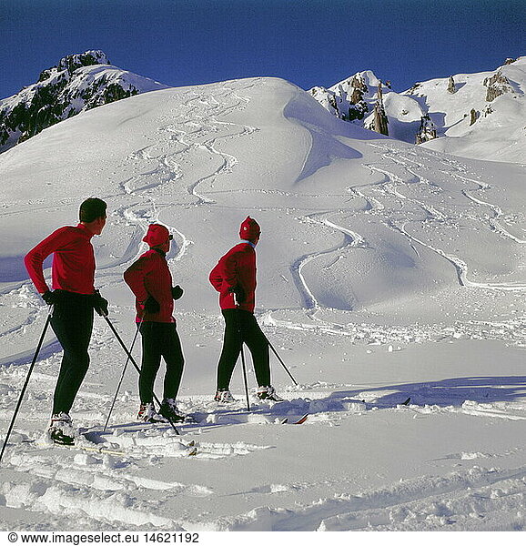 SG hist.  Sport  Ski  drei Skifahrer bei der Abfahrt  1950er Jahre