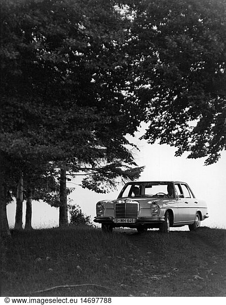 SG hist  Verkehr  Autos  Mercedes-Benz 250 SE  1965
