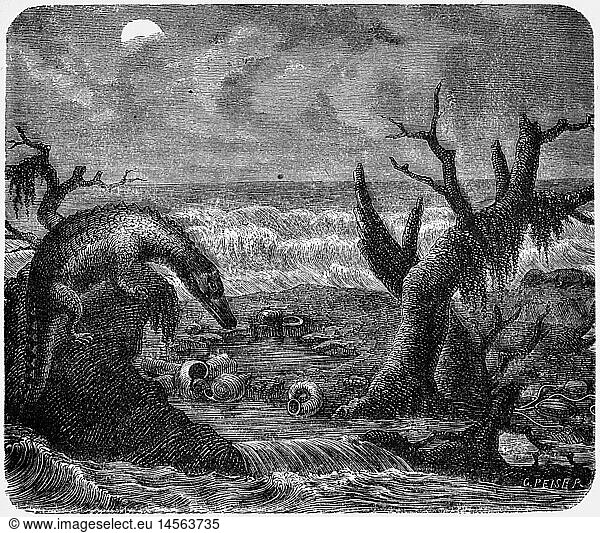 SG hist.  Vorzeit  Tiere  Nothosaurier in einer Strandlandschaft der Muschelkalkperiode  Illustration  Xylografie  um 1870