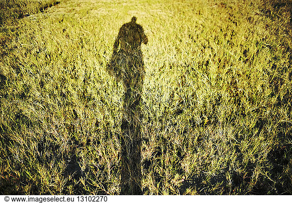 Shadow of person on grassy field