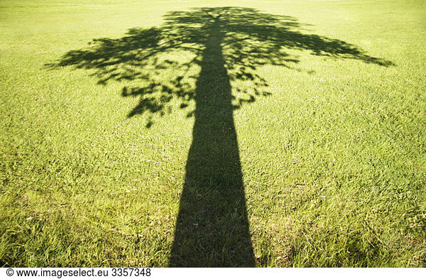 Shadow over grass field