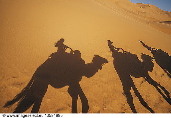 Shadows of people riding camels in sandy desert  Sahara  Morocco