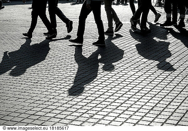 Shadows of people walking on pavement