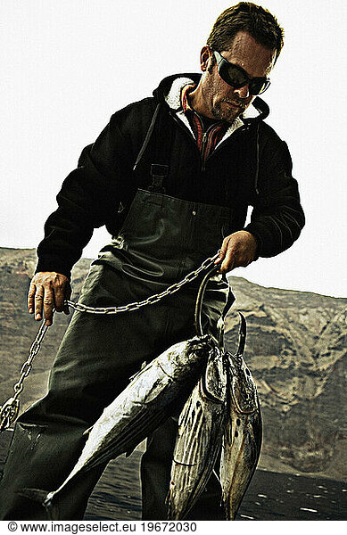 SHARK BAIT