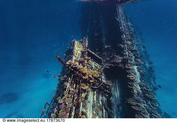 Shipwreck with reef in sea