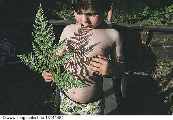 Shirtless boy playing with leaves shadow at backyard