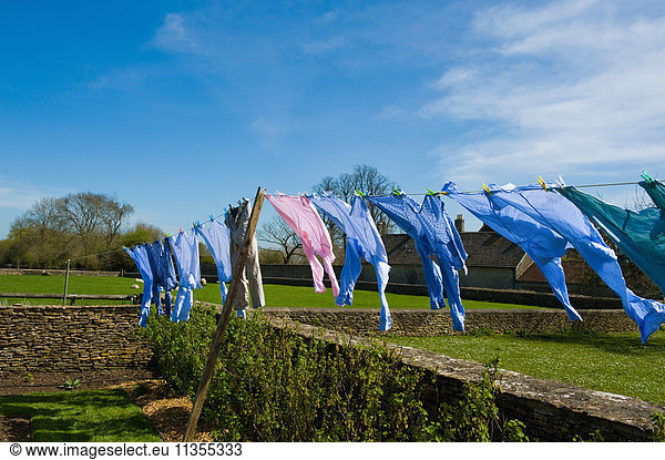 Shirts blowing on garden clothesline