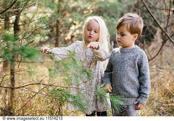 Siblings looking and pointing at tree in forest