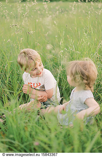 Siblings playing in a grassy meadow.