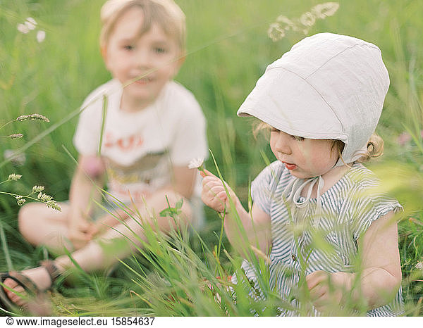 Siblings playing in a grassy meadow.