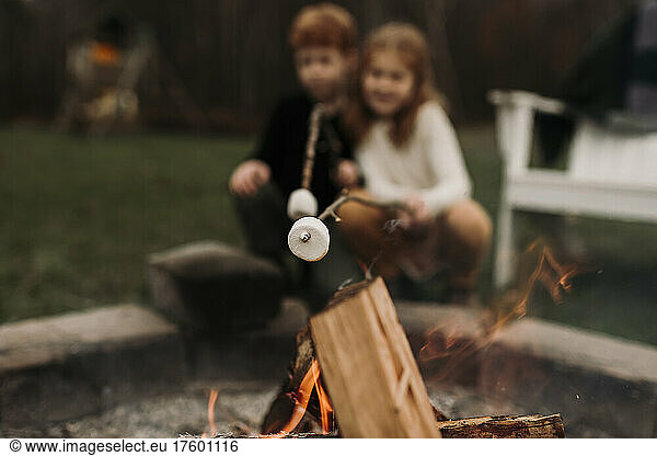 Siblings roasting marshmallows at campfire