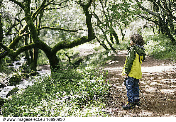 Side view of child looking away by forest