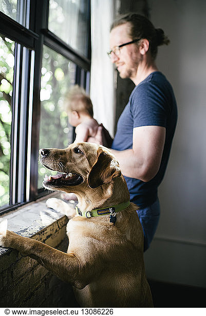 Side view of father with daughter and dog looking through window